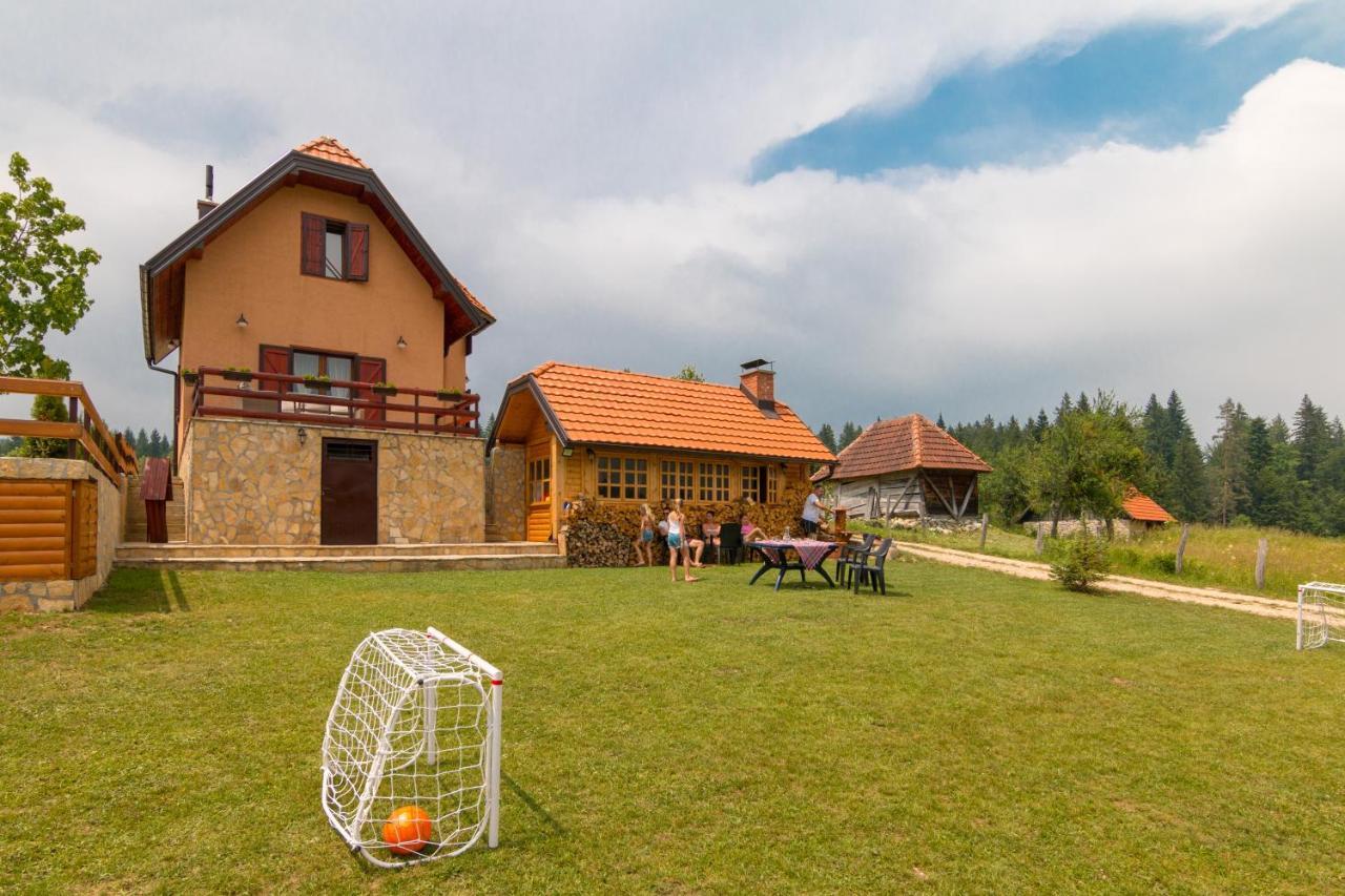 Mountain House Popovic Tara Villa Bajina Basta Exterior photo